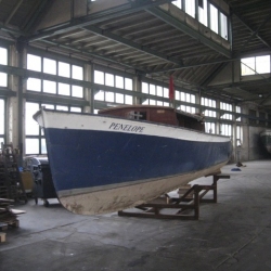 Backdecker Penelope